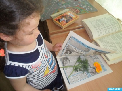 Fotók a „hogyan csináltuk herbáriumi” (középfokú oktatás) Fotók a „hogyan csináltuk herbáriumi”