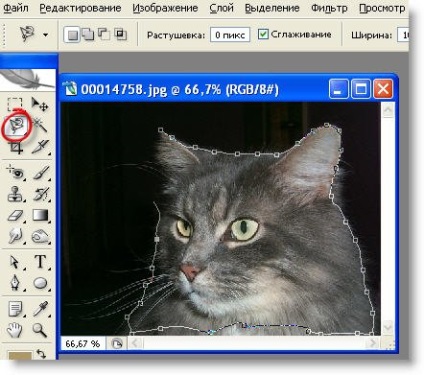 Photoshop fata pisica