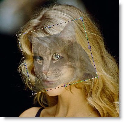 Photoshop fata pisica