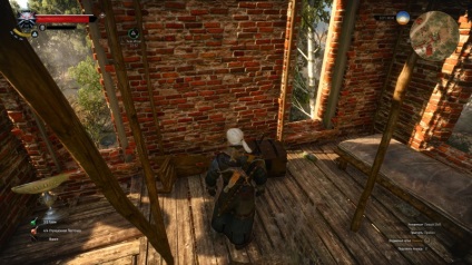 Witcher Guide 3 Wild Hunt