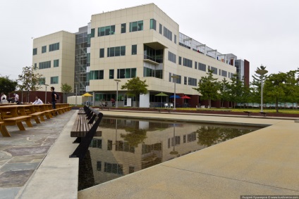 Campusul Googleplex - Google în vederea montană