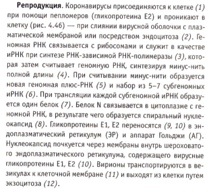 Gastroenterita infecțioasă a porcilor