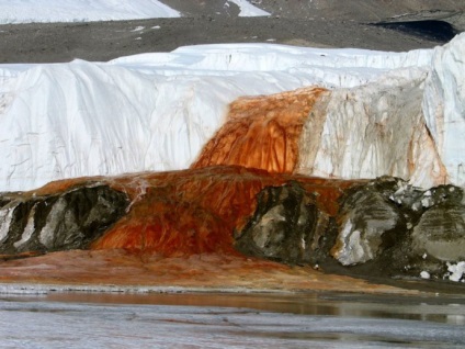 Informații interesante despre Antarctica