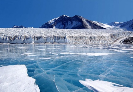 Informații interesante despre Antarctica