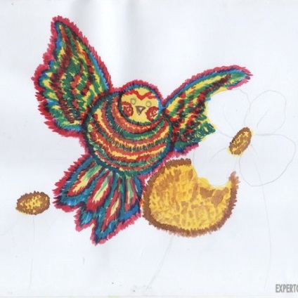 Cum de a desena o pasăre dintr-un basm cu rimel colorat, două opțiuni, expertoza