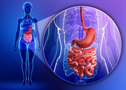 Cum sa curatati intestinele acasa rapid si eficient