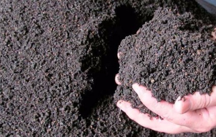 Hogyan javítja a talaj termékenységét használati alkalmazásáról szóló gilisztahumusz