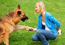 Cum să-l laude pe câine în mod corespunzător