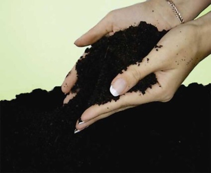 Cum să reanimați solul și să îl faceți fertil