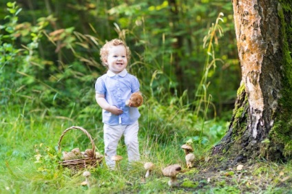 Cum să colectezi ciuperci într-o pădure cu un copil