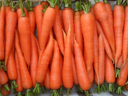 Cum să salvezi morcovii