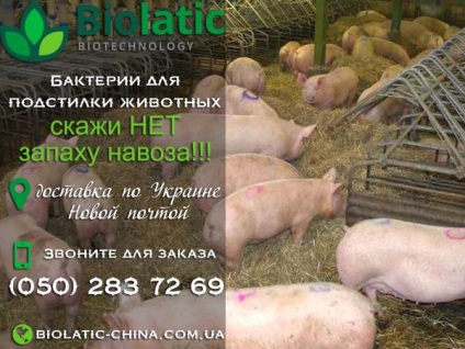 Cum să eliminați mirosul într-un porc, bacterii pentru prelucrarea gunoiului de grajd în Ucraina