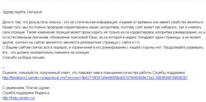Cum să ieșiți din filtrul Yandex pentru anunțurile care nu se află pe site