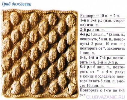 Cum de a tricota modele ștanțate și butoane cu ace de tricotat