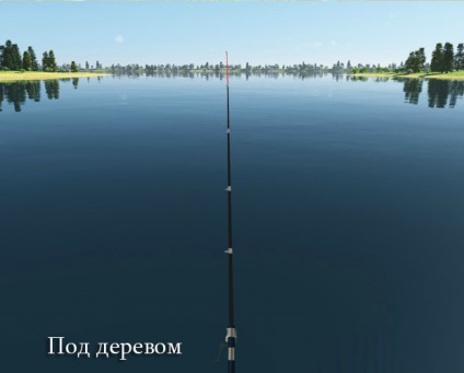 Cum sa te pui de pescuit
