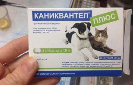 Kanikvantel pentru pisici instrucțiuni de utilizare și de prevenire