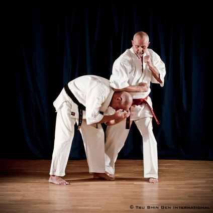 Karate Tsu Shin Gene