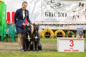 Echipa, clinica veterinară