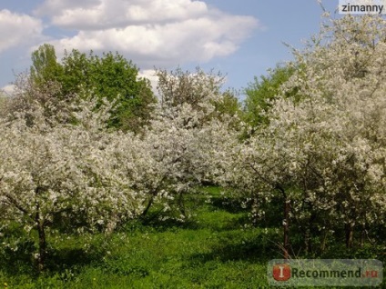 Kolomna Moscova Muzeul de Stat-rezervație, Moscova - 