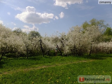 Kolomna Moscova Muzeul de Stat-rezervație, Moscova - 