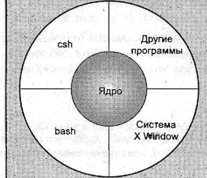 Scurt informații teoretice