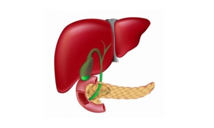 Tratamentul cancerului pancreatic cu remedii folclorice