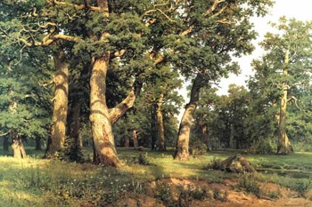 Forest természet festmény Ivan Shishkin