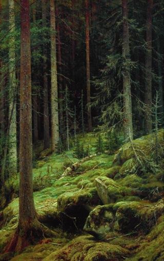 Forest természet festmény Ivan Shishkin