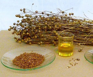 Uleiul de semințe de păr pentru păr și pentru primăvară rețete
