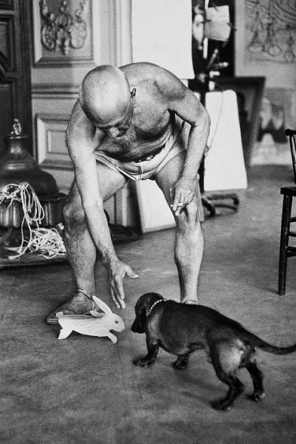 Câine preferat Pablo Picasso - dachshund poreclit pufos