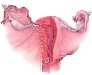 Masaj după naștere, caracteristici ale recuperării postpartum, indicații
