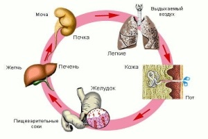 Orvosi következményei a krónikus - heveny - dohányzás a szervezet számára