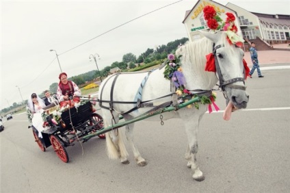 Forum internațional de nunți inter-nunta