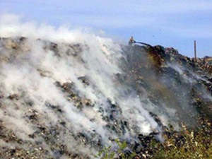 Viziunea asupra ecologiei dialogului - articole interesante