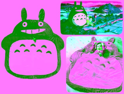 Soft, confortabil vecin totoro