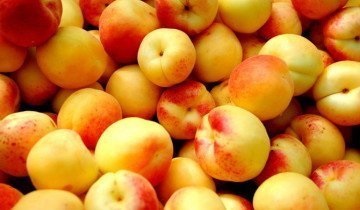 Carne și kernel de caise - beneficiul și răul fructelor delicioase pentru oameni