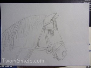 Desenați capul unui cal, creativitatea este viața!