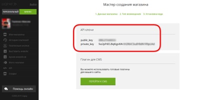 Configurarea unui cont liqpay pentru a vă conecta la un magazin online - webmakers de studio