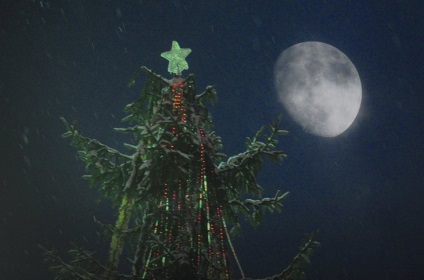 Tradiția de Anul Nou de a alege copacul potrivit și de ce nu o puteți tăia singur - Moscova 24