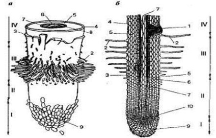 Materiale educative