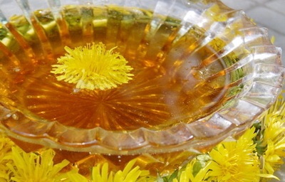 Dandelion miere proprietăți utile și contraindicații