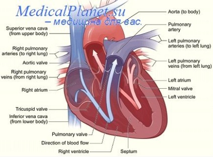 Accese operative cu boli cardiace congenitale