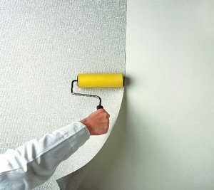 Caracteristicile pereților de lipire cu scule din fibră de sticlă pentru lucru, cum să lipiți pereții de sticlă