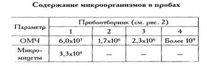 Caracteristicile procesării deșeurilor urbane solide