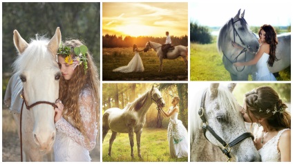 Caracteristicile fotografiilor de nunta cu animale