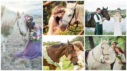 Caracteristicile fotografiilor de nunta cu animale