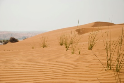 Vacanță în Ghidul Fujairah către Fujairah