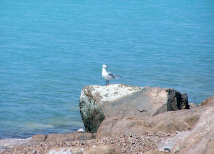 Lake Balkhash, Kazahstan fotografie, descriere, fapte interesante, agrement