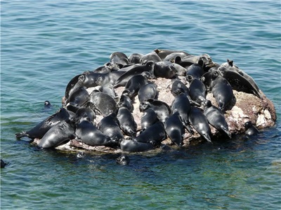 Lacul Baikal - atracții cu hărți și fotografii