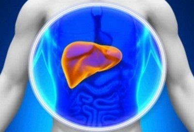 Percuție hepatică la adult la adulți și adulți